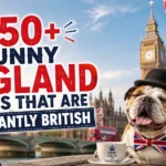 Funny England Jokes