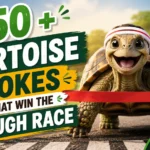 Tortoise Jokes