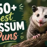 Best Possum Puns